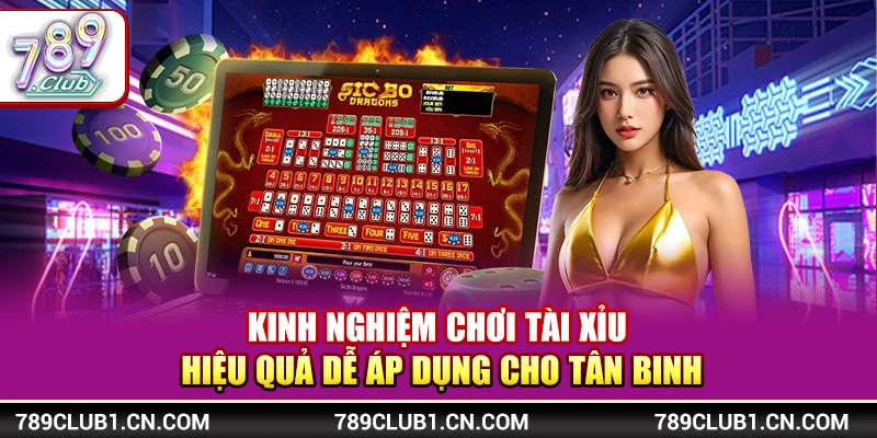 Kinh Nghiệm Chơi Tài Xỉu Hiệu Quả Dễ Áp Dụng Cho Tân Binh