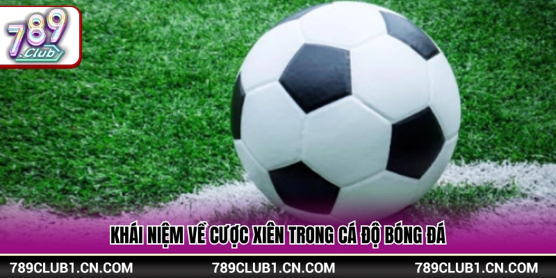 Cách Chơi Cược Xiên – Hướng Dẫn Cơ Bản Dễ Hiểu Tại 789Club 2 Tìm hiểu thuật ngữ cược xiên bóng đá