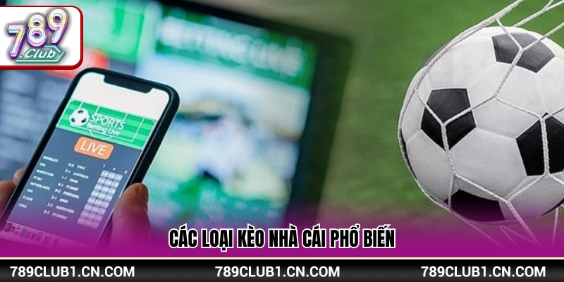 Kèo Nhà Cái Hôm Nay – Cập Nhật Tỷ Lệ Mới Nhất Tại 789Club 3 Những hình thức cược thông dụng nhất