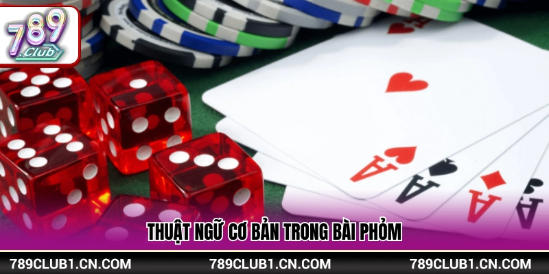 Các thuật ngữ chuyên dụng trong luật chơi bài phỏm