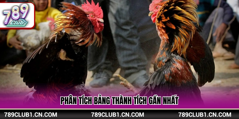 Mẹo cá cược đá gà xem xét kết quả các trận gần đây